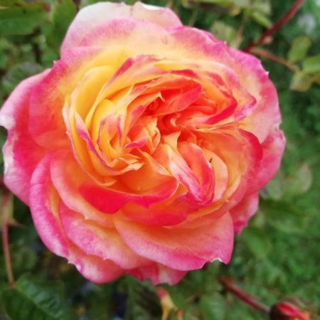 La Mirabelle-Casteil Country House旅馆 外观 照片