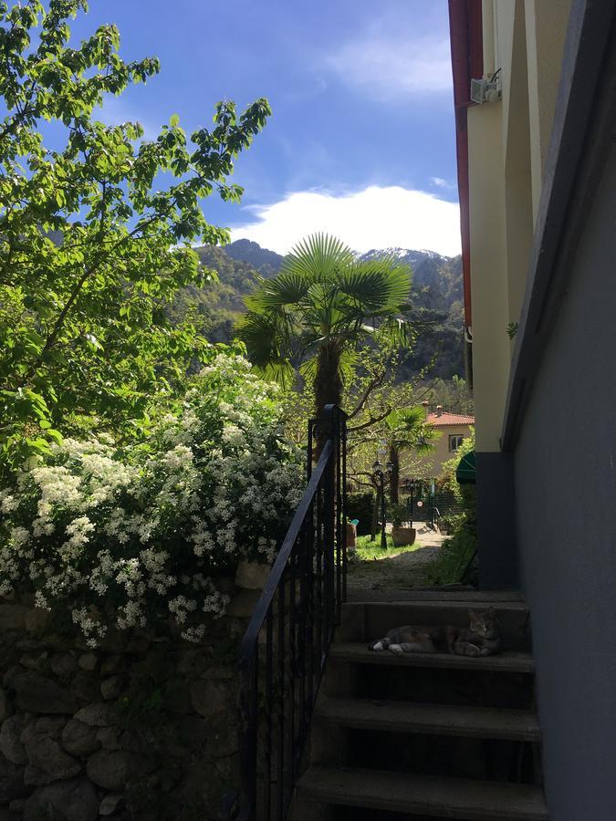 La Mirabelle-Casteil Country House旅馆 外观 照片