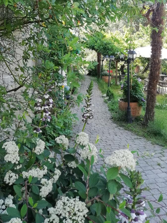 La Mirabelle-Casteil Country House旅馆 外观 照片