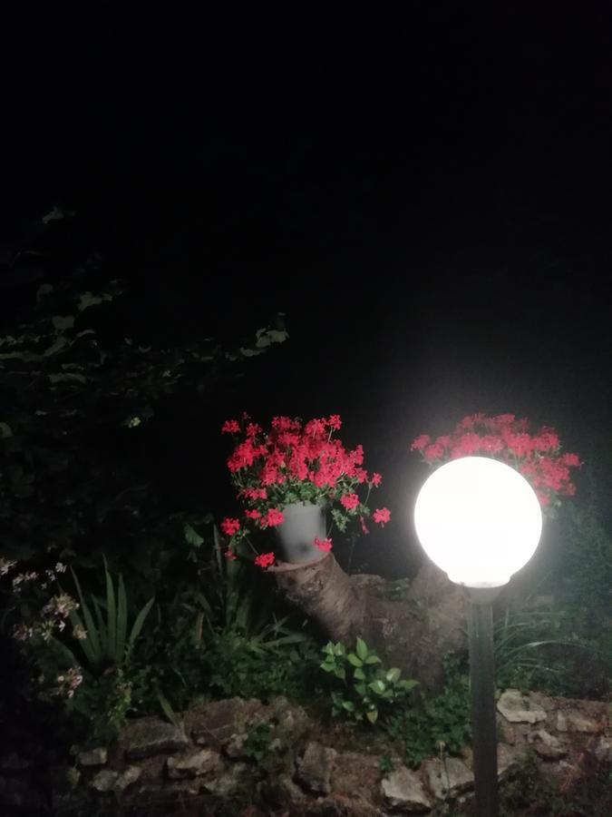La Mirabelle-Casteil Country House旅馆 外观 照片