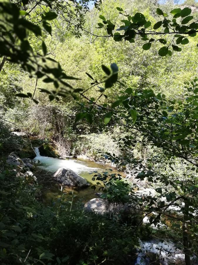 La Mirabelle-Casteil Country House旅馆 外观 照片