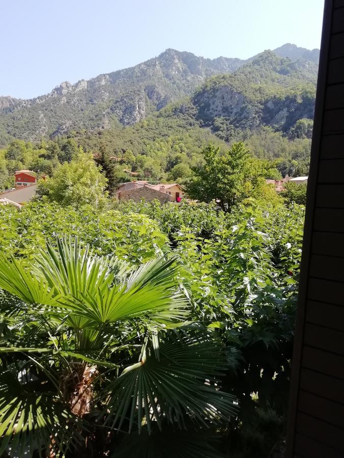 La Mirabelle-Casteil Country House旅馆 外观 照片
